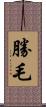 勝毛 Scroll