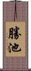 勝池 Scroll