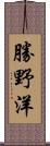 勝野洋 Scroll