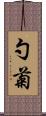 勺菊 Scroll