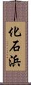 化石浜 Scroll