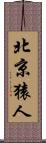 北京猿人 Scroll