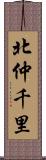 北仲千里 Scroll