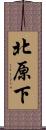 北原下 Scroll