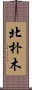 北朴木 Scroll