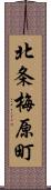 北条梅原町 Scroll