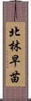 北林早苗 Scroll