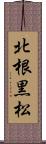 北根黒松 Scroll