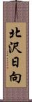 北沢日向 Scroll