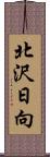 北沢日向 Scroll