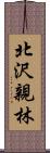 北沢親林 Scroll