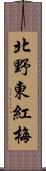 北野東紅梅 Scroll