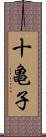 十亀子 Scroll