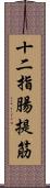 十二指腸提筋 Scroll