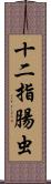 十二指腸虫 Scroll