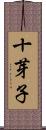 十芽子 Scroll