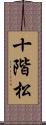 十階松 Scroll