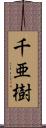 千亜樹 Scroll