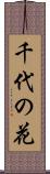 千代の花 Scroll