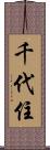 千代住 Scroll