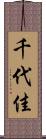 千代佳 Scroll