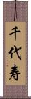 千代寿 Scroll