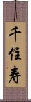千住寿 Scroll