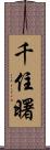 千住曙 Scroll