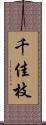 千佳枝 Scroll
