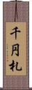 千円札 Scroll