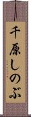 千原しのぶ Scroll