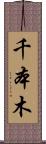 千本木 Scroll