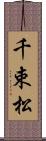 千束松 Scroll