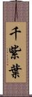 千紫葉 Scroll