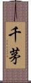 千茅 Scroll