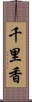 千里香 Scroll