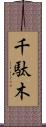 千駄木 Scroll