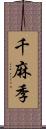 千麻季 Scroll