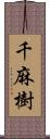 千麻樹 Scroll