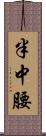 半中腰 Scroll