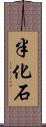 半化石 Scroll