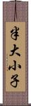 半大小子 Scroll