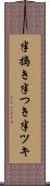 半搗き Scroll