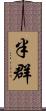 半群 Scroll