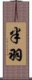 半羽 Scroll