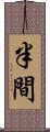 半間 Scroll