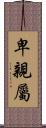 卑親屬 Scroll