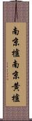 南京櫨 Scroll