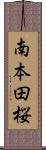 南本田桜 Scroll