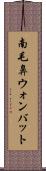 南毛鼻ウォンバット Scroll